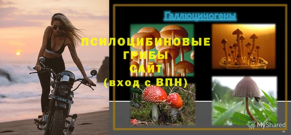спайс Надым