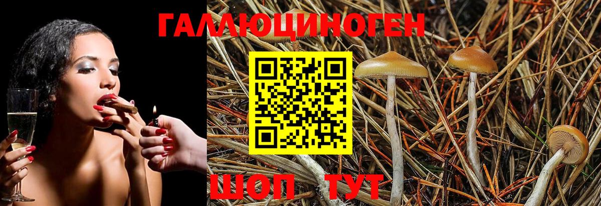 Галлюциногенные грибы Cubensis Туапсе