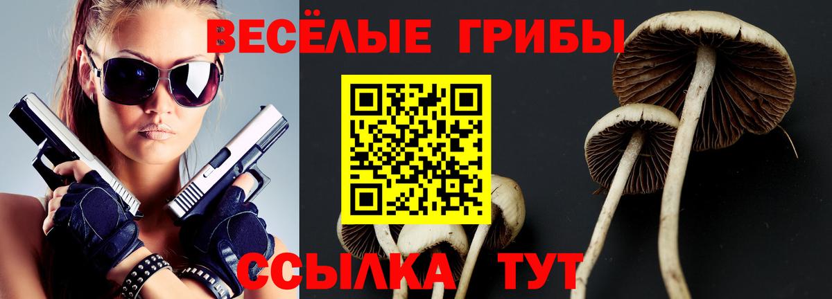Галлюциногенные грибы MAGIC MUSHROOMS  Вход с VPN  Псилоцибиновые грибы Psilocybine cubensis  Туапсе 
