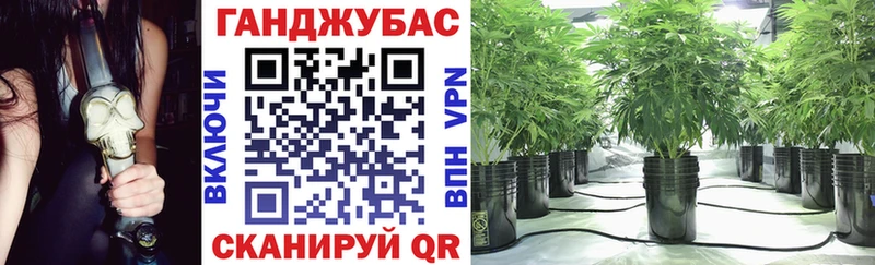купить наркоту  Туапсе  Конопля гибрид 